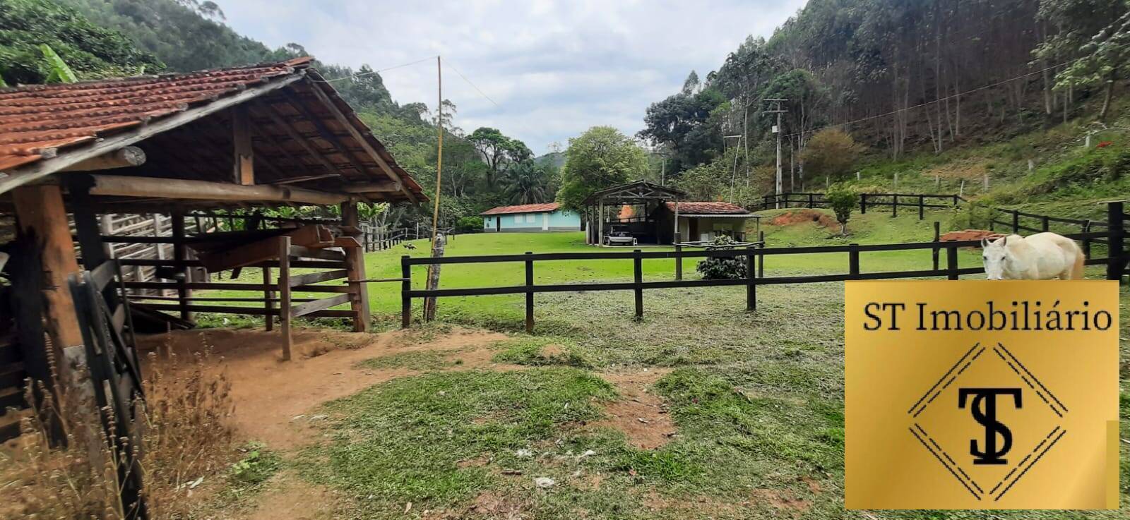 Fazenda à venda com 3 quartos, 37000m² - Foto 10