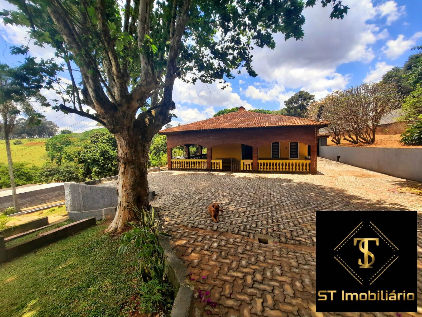 Fazenda à venda com 6 quartos, 15000m² - Foto 1