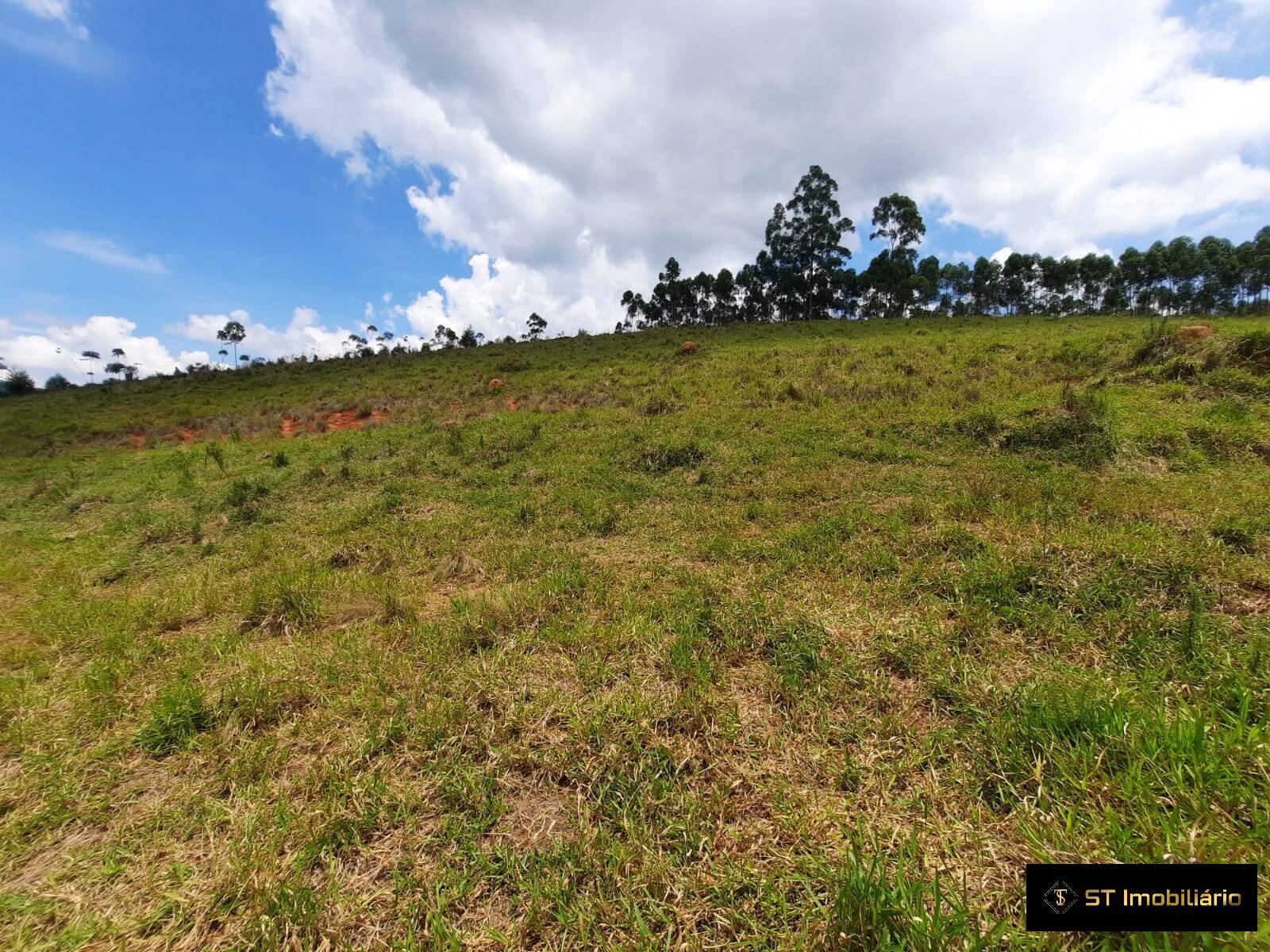 Fazenda à venda com 5 quartos, 200000m² - Foto 24