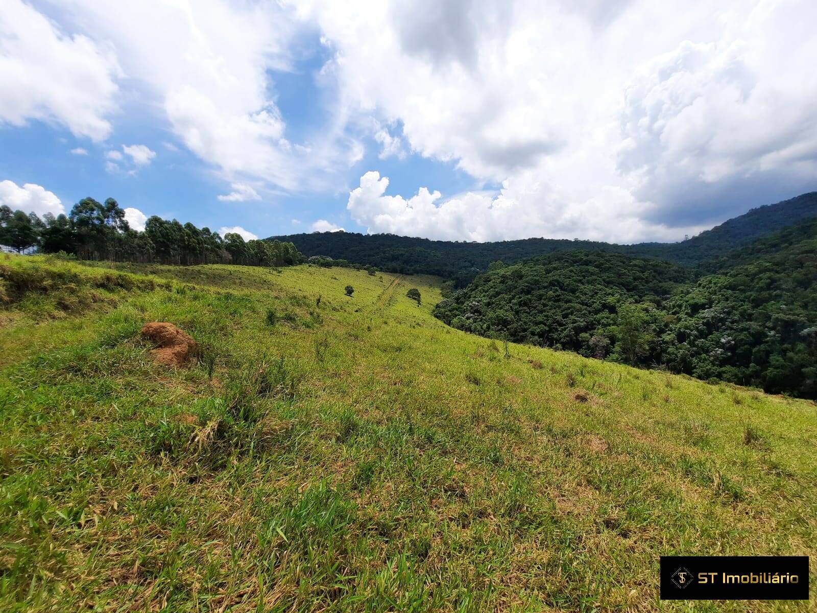 Fazenda à venda com 5 quartos, 200000m² - Foto 3