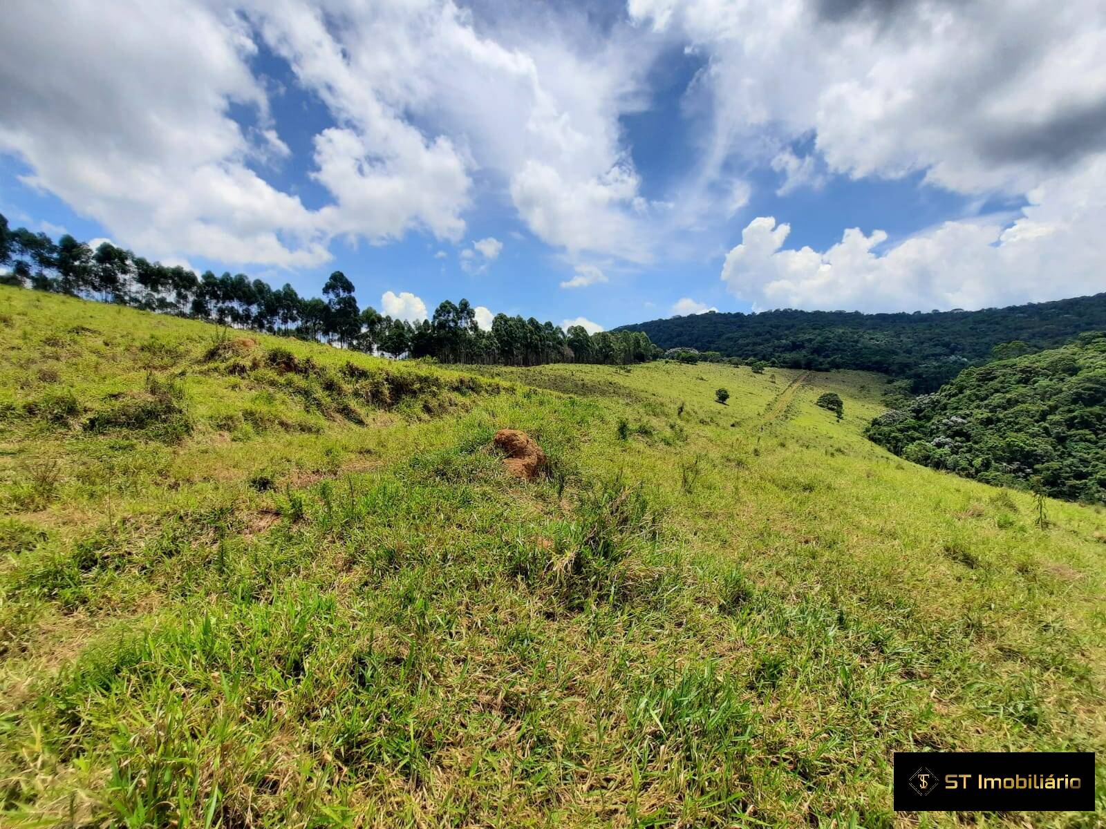 Fazenda à venda com 5 quartos, 200000m² - Foto 26