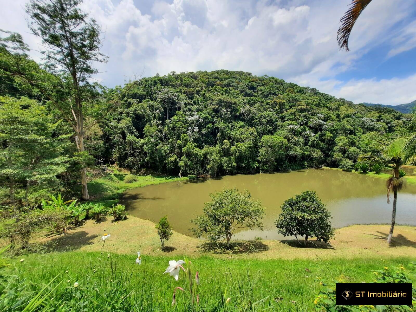 Fazenda à venda com 5 quartos, 200000m² - Foto 27