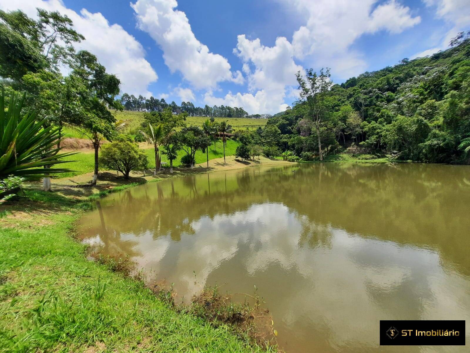 Fazenda à venda com 5 quartos, 200000m² - Foto 4