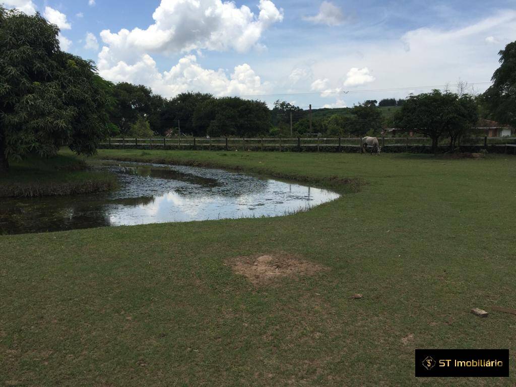 Fazenda à venda com 9 quartos, 650m² - Foto 4