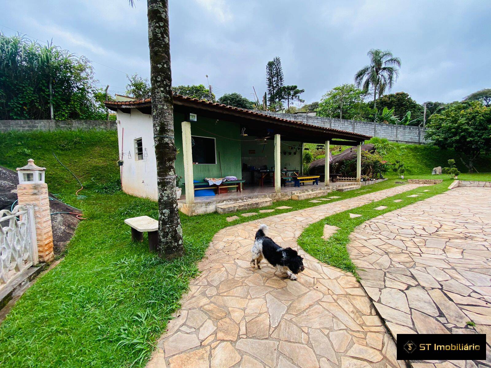 Fazenda à venda com 3 quartos, 338m² - Foto 7