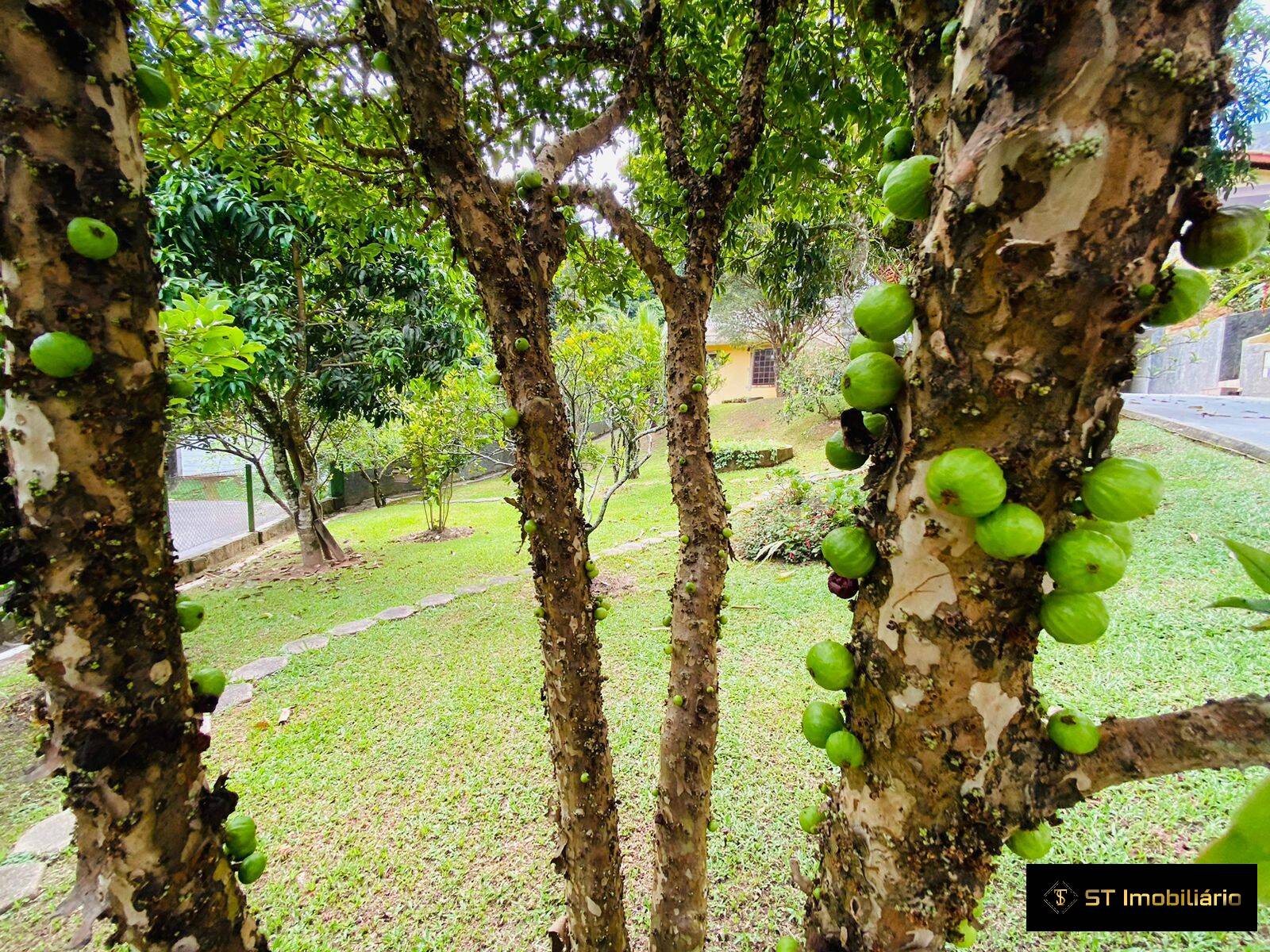 Fazenda à venda com 3 quartos, 338m² - Foto 53