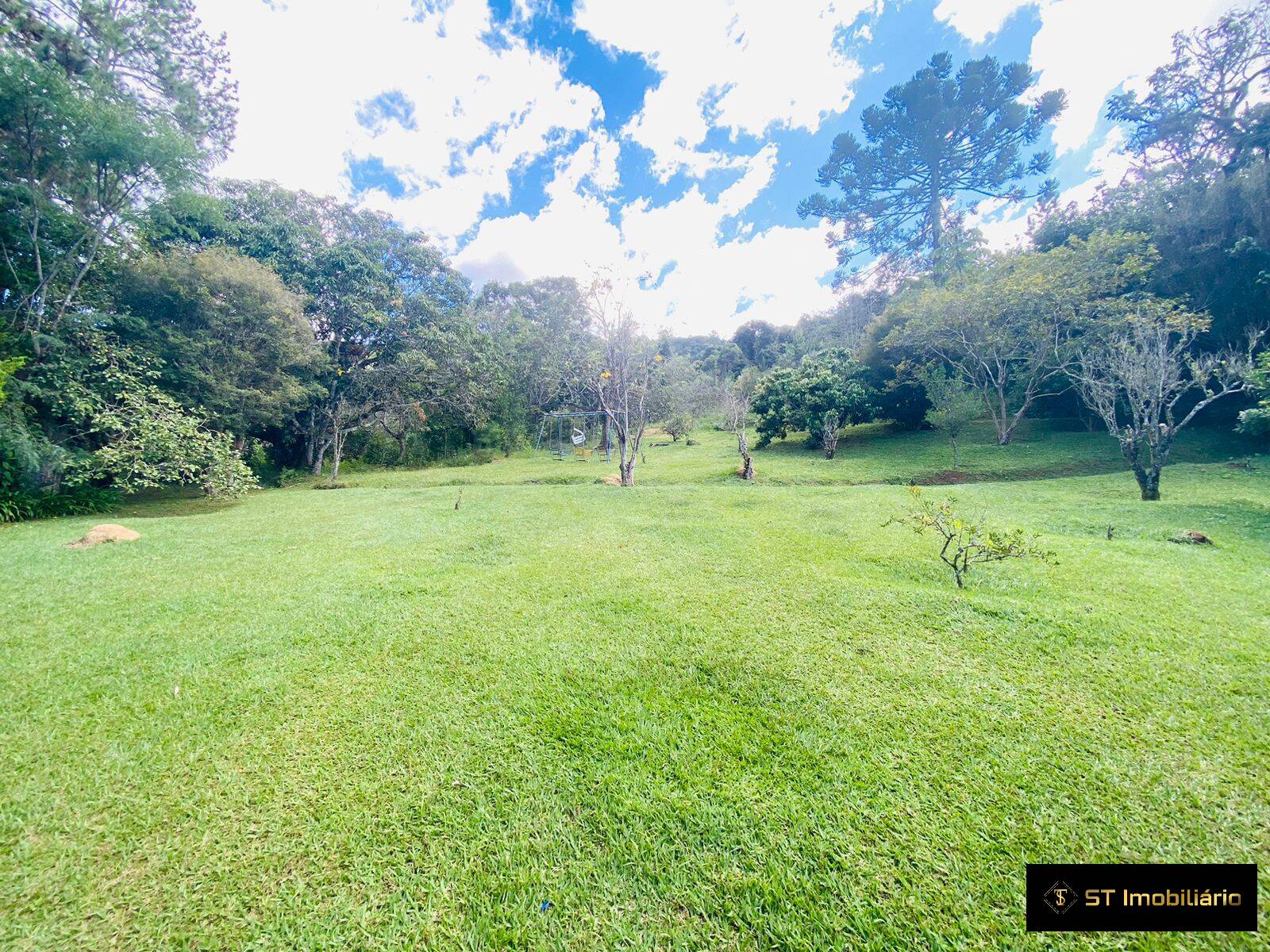 Fazenda à venda com 6 quartos, 24200m² - Foto 5