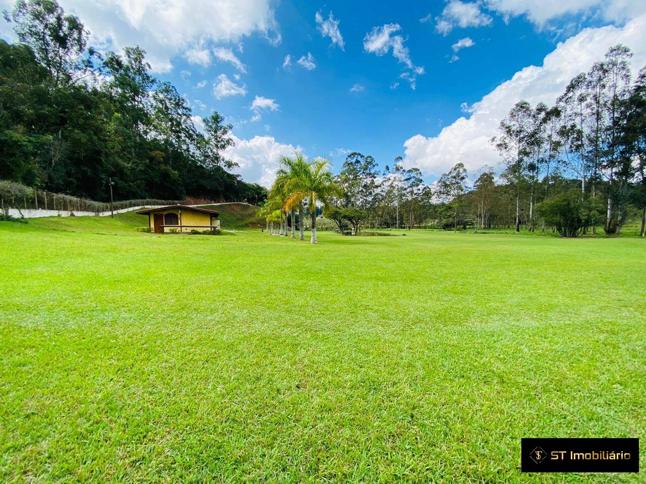 Fazenda à venda com 4 quartos, 18000m² - Foto 17