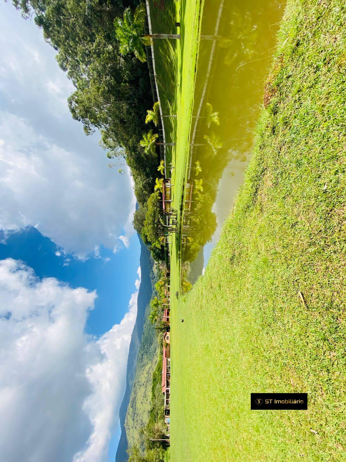 Fazenda à venda com 4 quartos, 18000m² - Foto 20