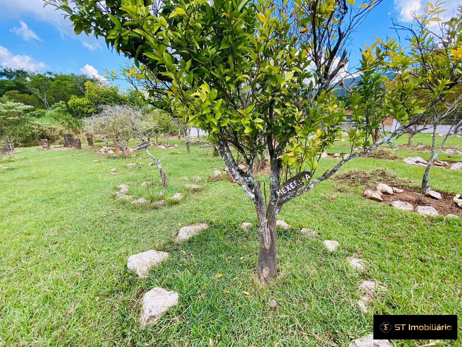 Fazenda à venda com 4 quartos, 18000m² - Foto 36