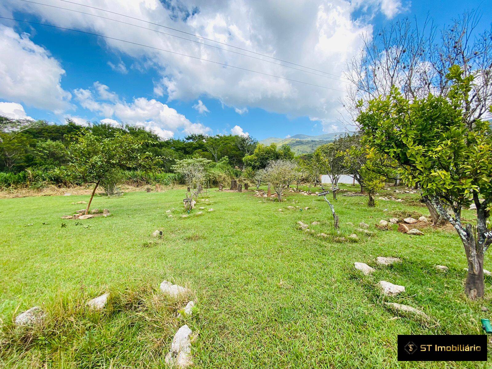 Fazenda à venda com 4 quartos, 18000m² - Foto 7