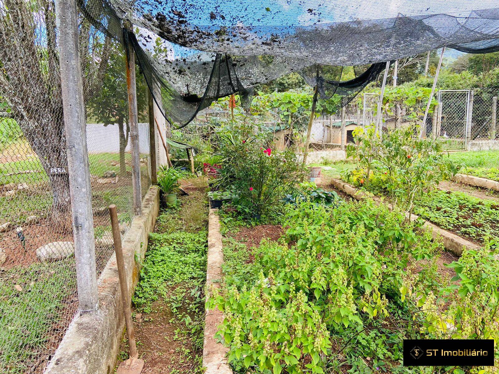 Fazenda à venda com 4 quartos, 18000m² - Foto 39