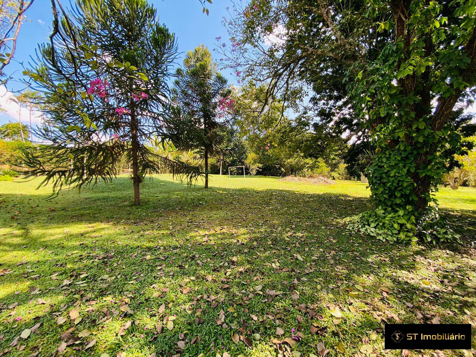 Fazenda à venda com 4 quartos, 400m² - Foto 3