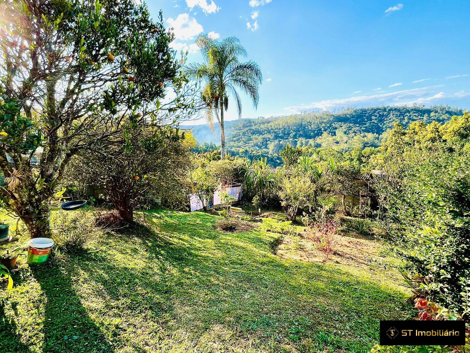 Fazenda à venda com 5 quartos, 180m² - Foto 3