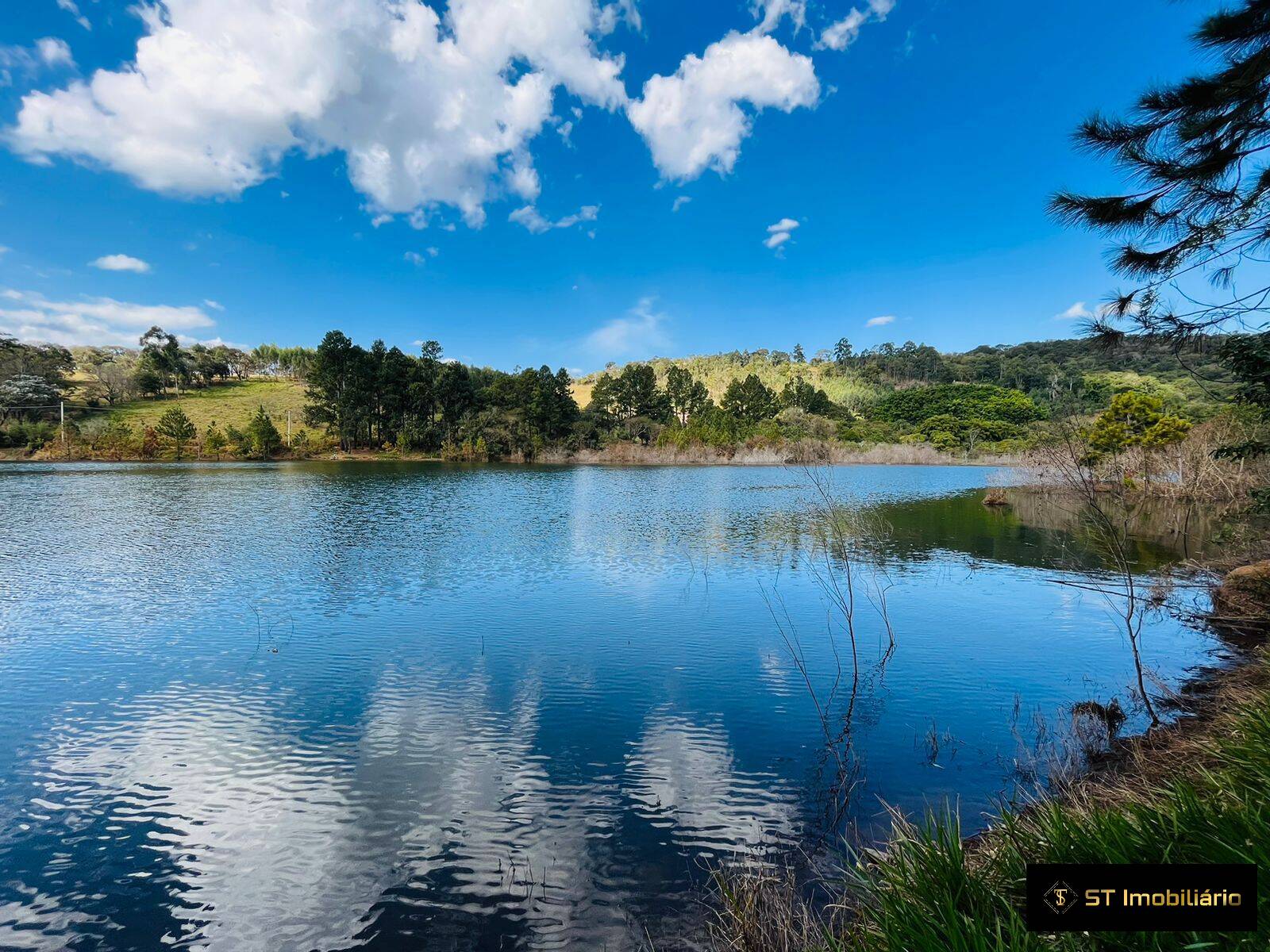 Fazenda à venda com 4 quartos, 2500m² - Foto 3