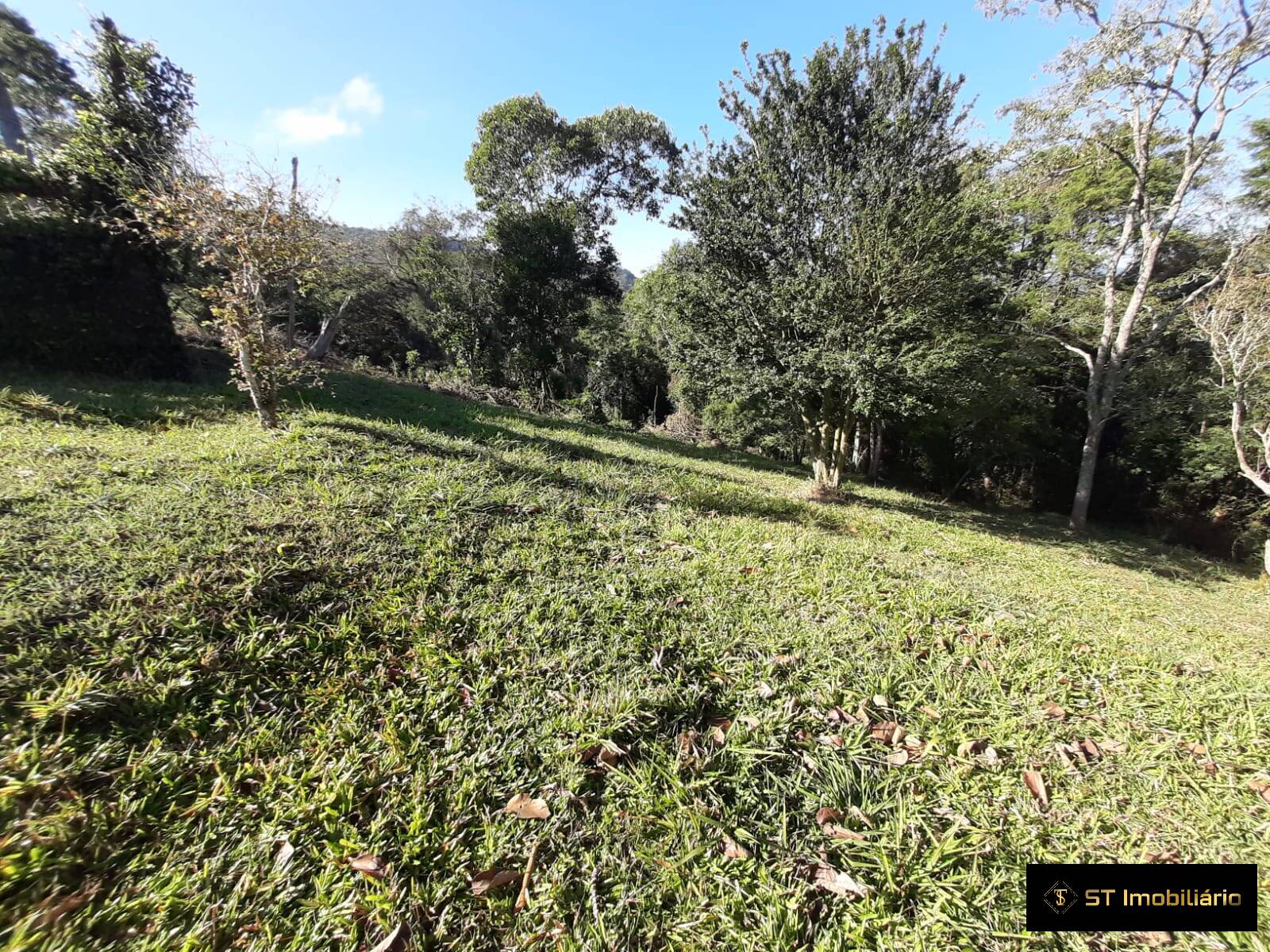 Fazenda à venda com 3 quartos, 150m² - Foto 9