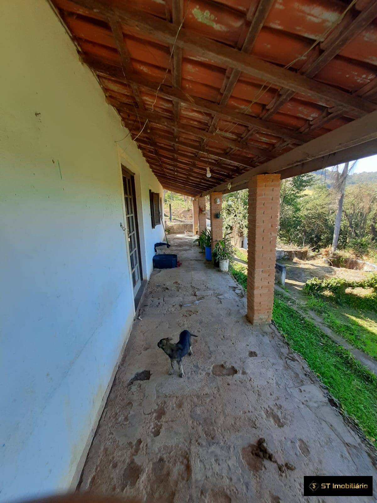 Fazenda à venda com 3 quartos, 150m² - Foto 6