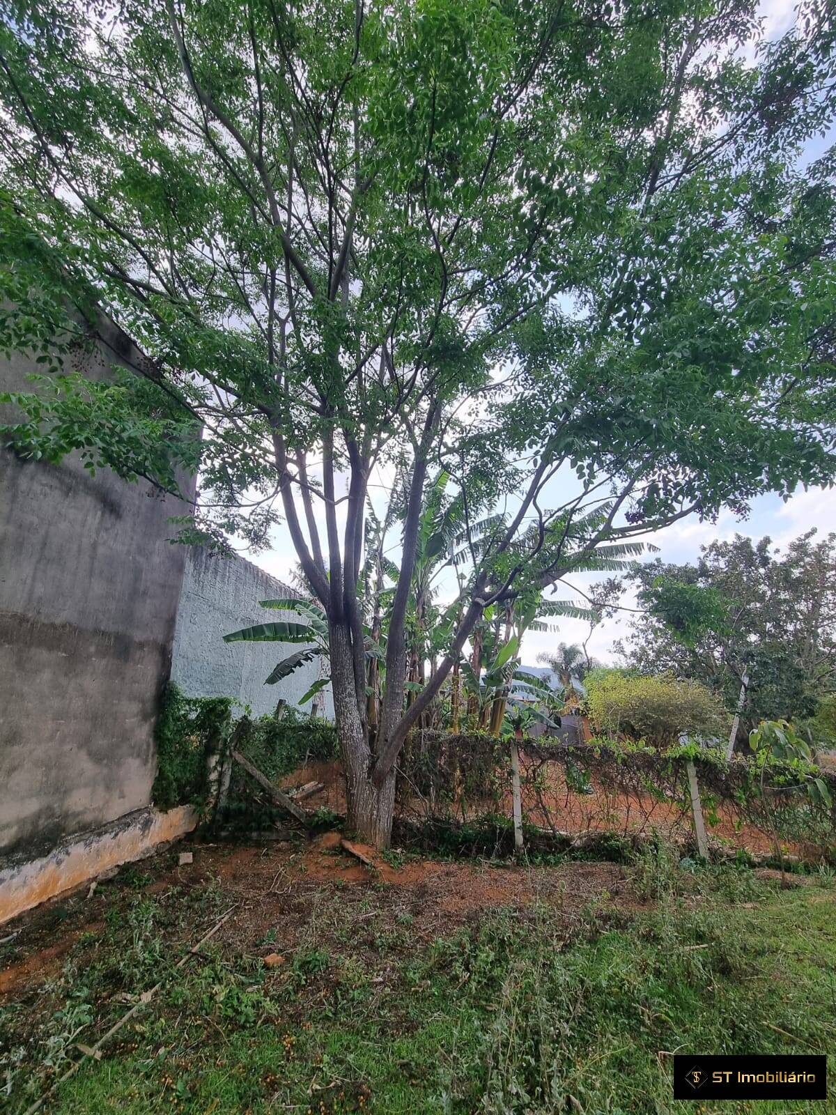 Fazenda à venda com 4 quartos, 250m² - Foto 20