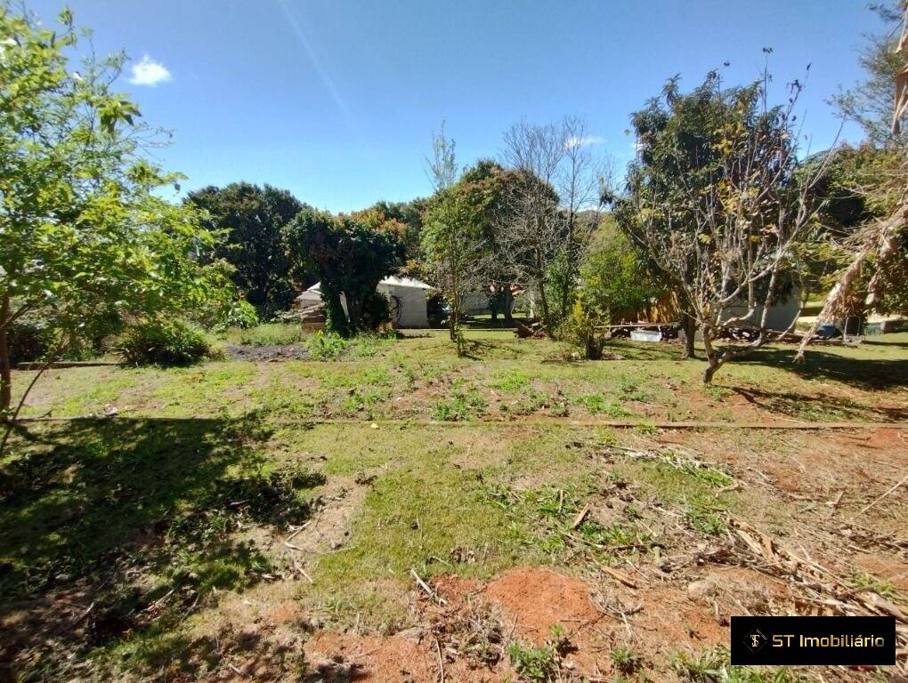 Fazenda à venda com 4 quartos, 250m² - Foto 39