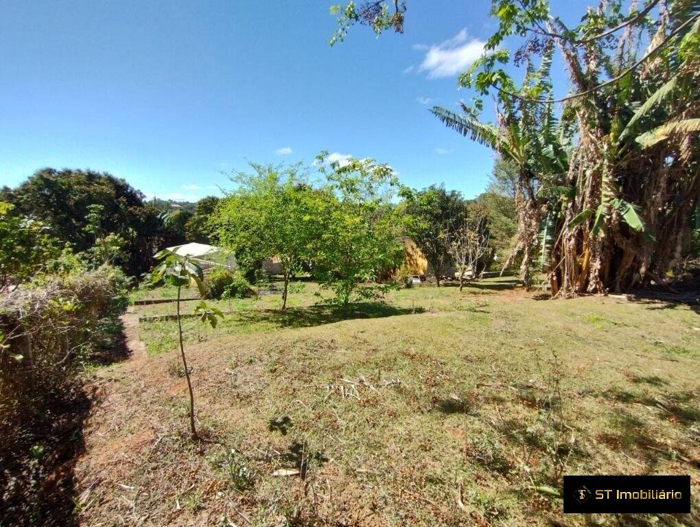 Fazenda à venda com 4 quartos, 250m² - Foto 42