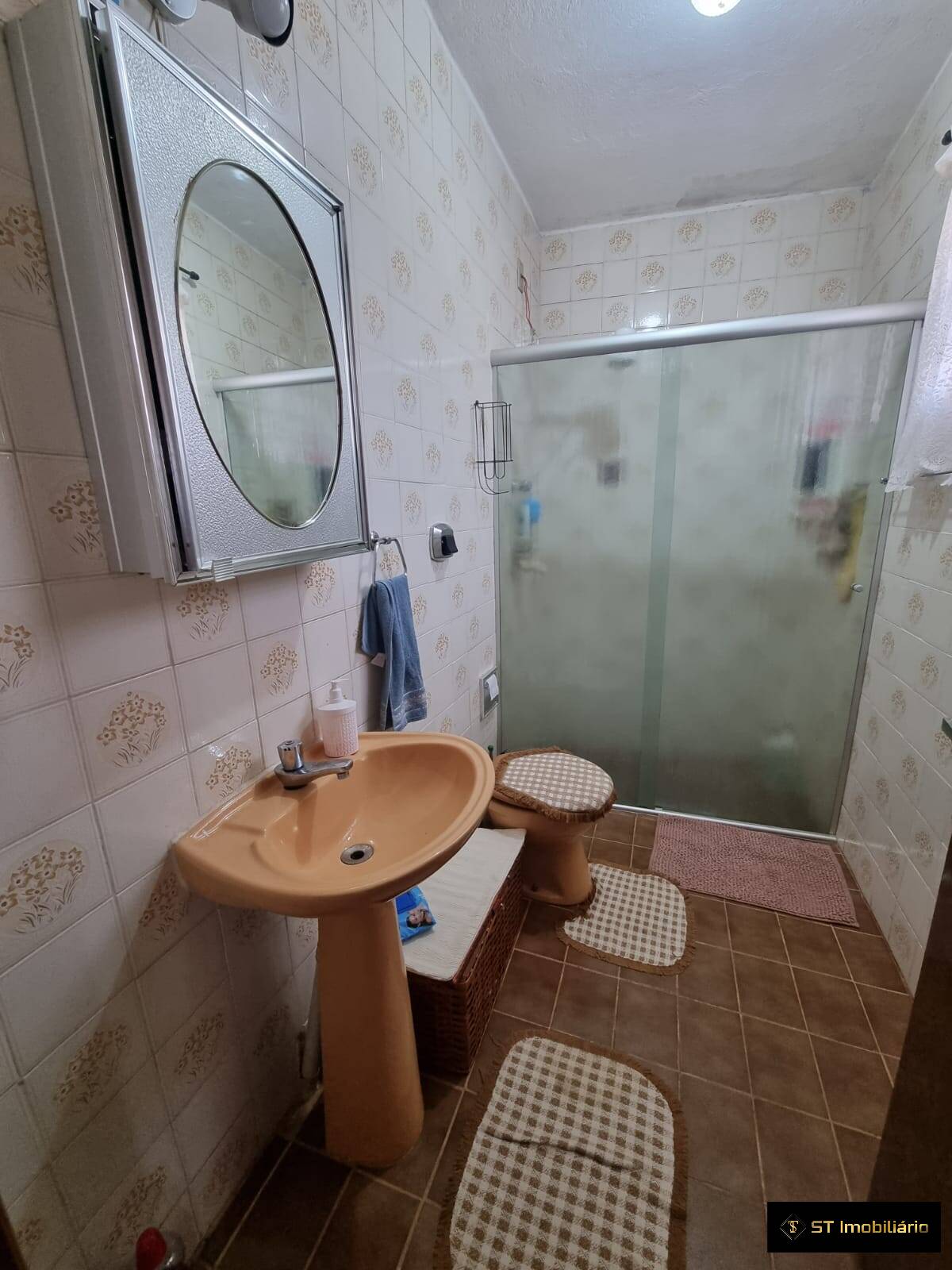 Fazenda à venda com 4 quartos, 250m² - Foto 48