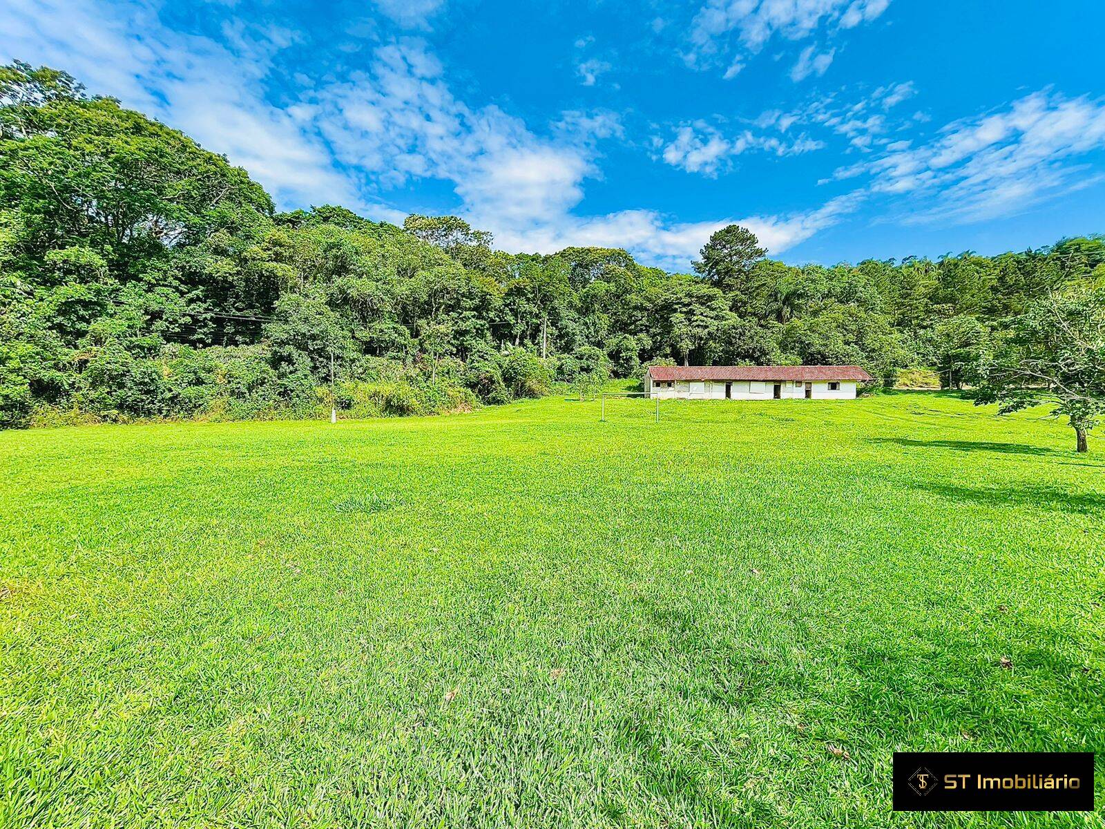 Fazenda à venda com 5 quartos, 1000m² - Foto 12