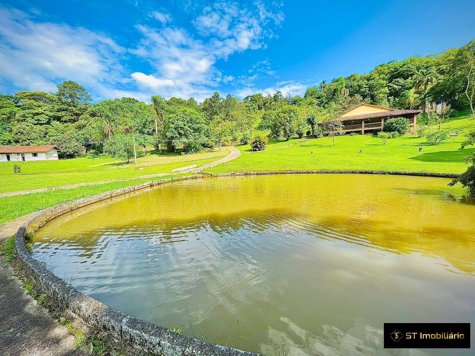 Fazenda à venda com 5 quartos, 1000m² - Foto 3