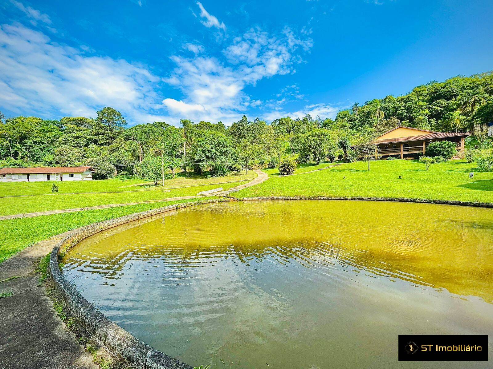 Fazenda à venda com 5 quartos, 1000m² - Foto 18