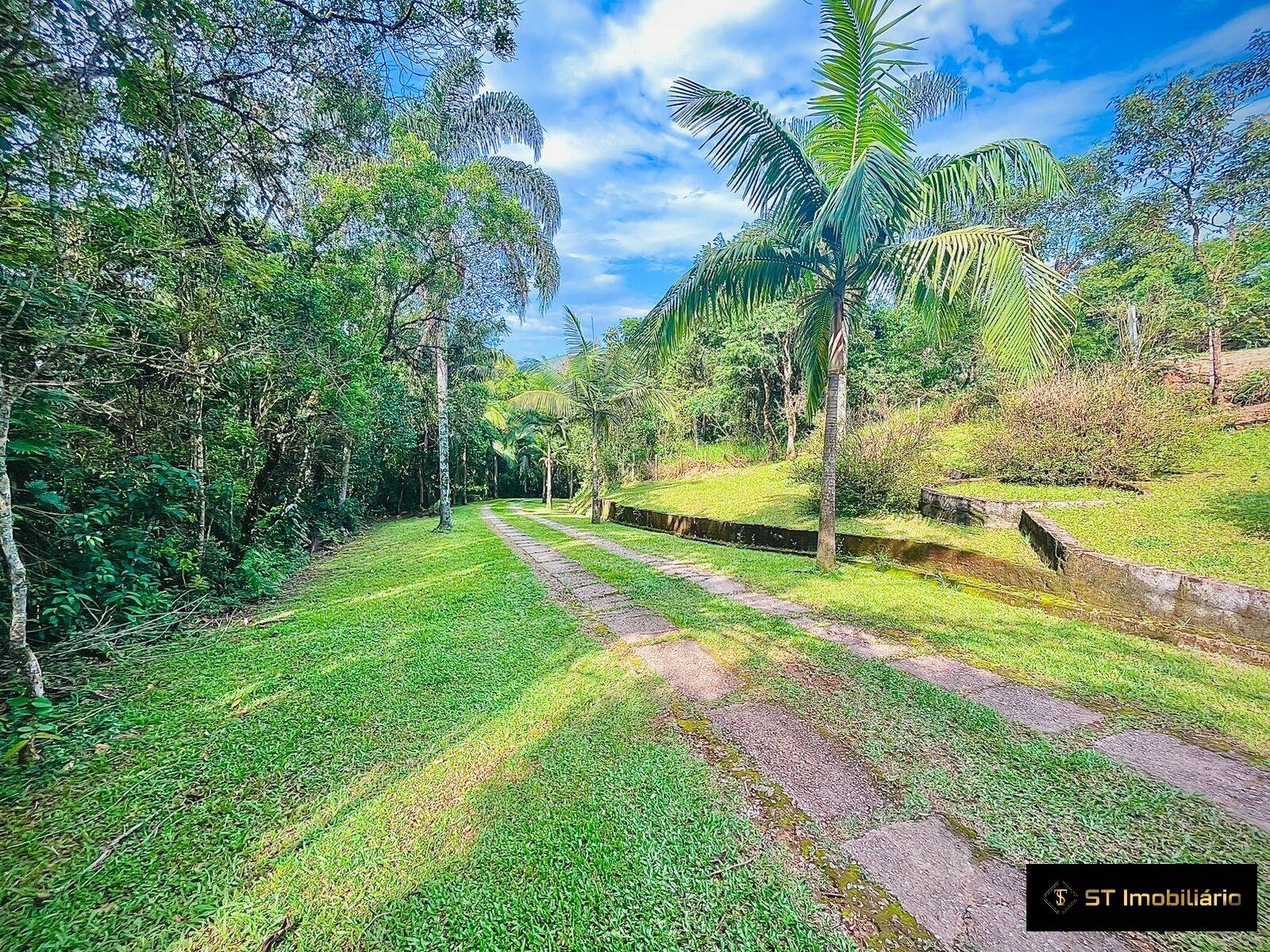 Fazenda à venda com 5 quartos, 1000m² - Foto 19