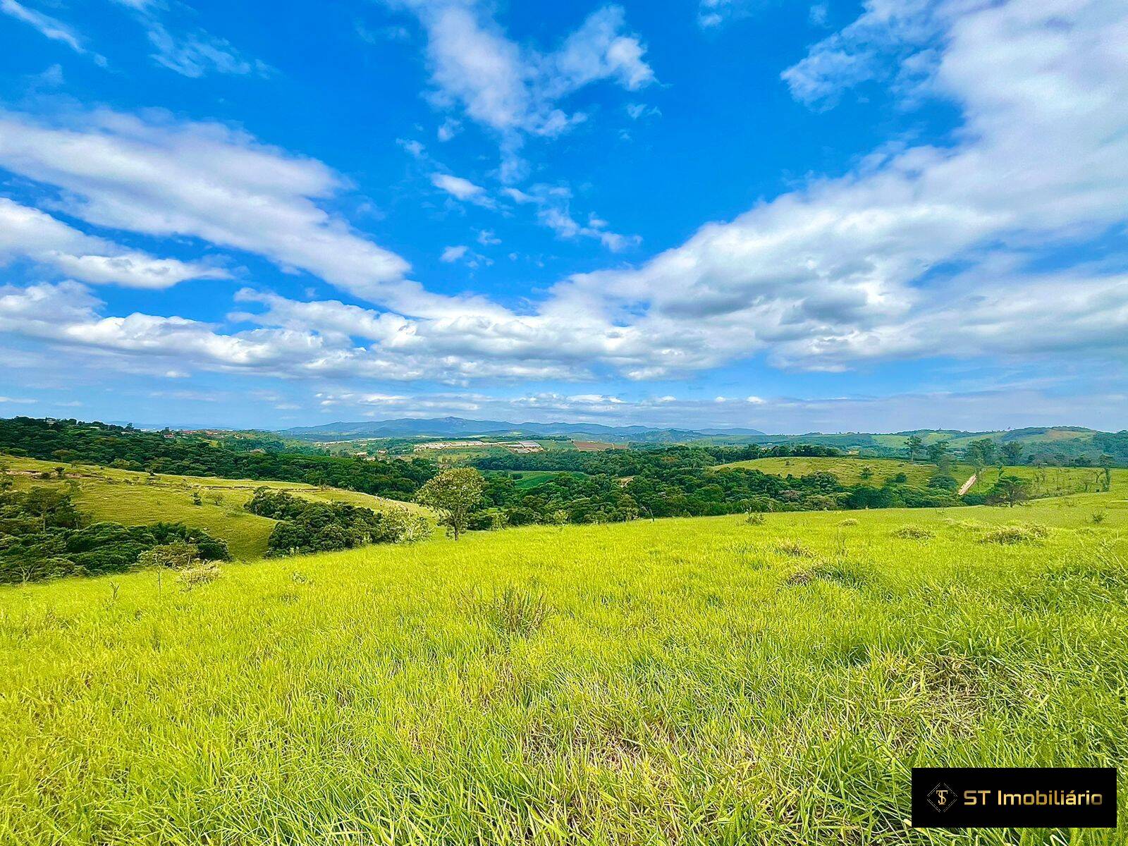 Fazenda à venda com 5 quartos, 450m² - Foto 14