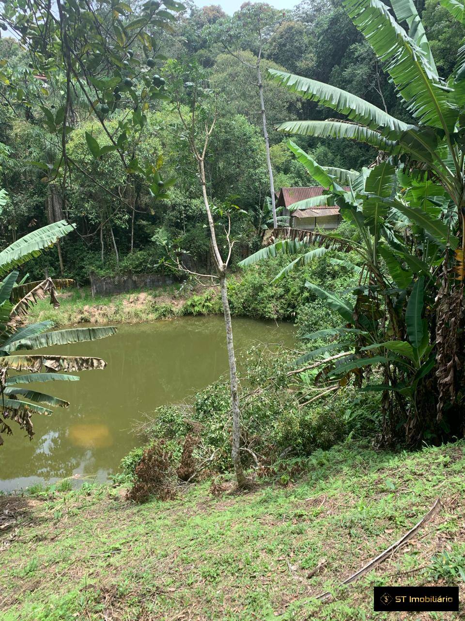 Terreno à venda com 2 quartos, 14000m² - Foto 8