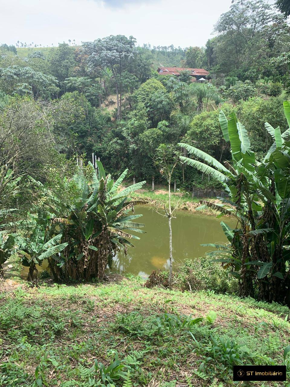 Terreno à venda com 2 quartos, 14000m² - Foto 20