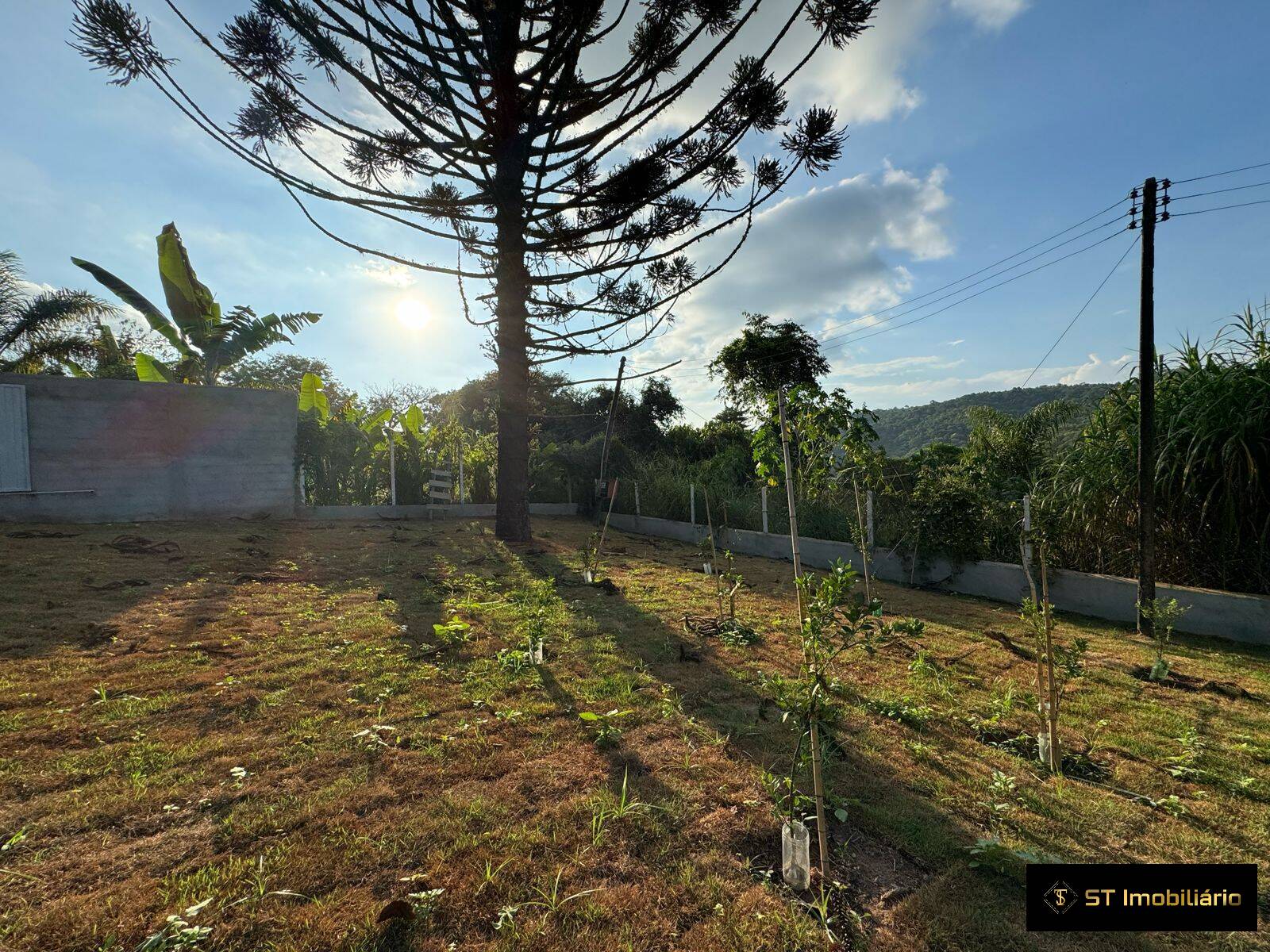 Fazenda à venda com 3 quartos, 157m² - Foto 5