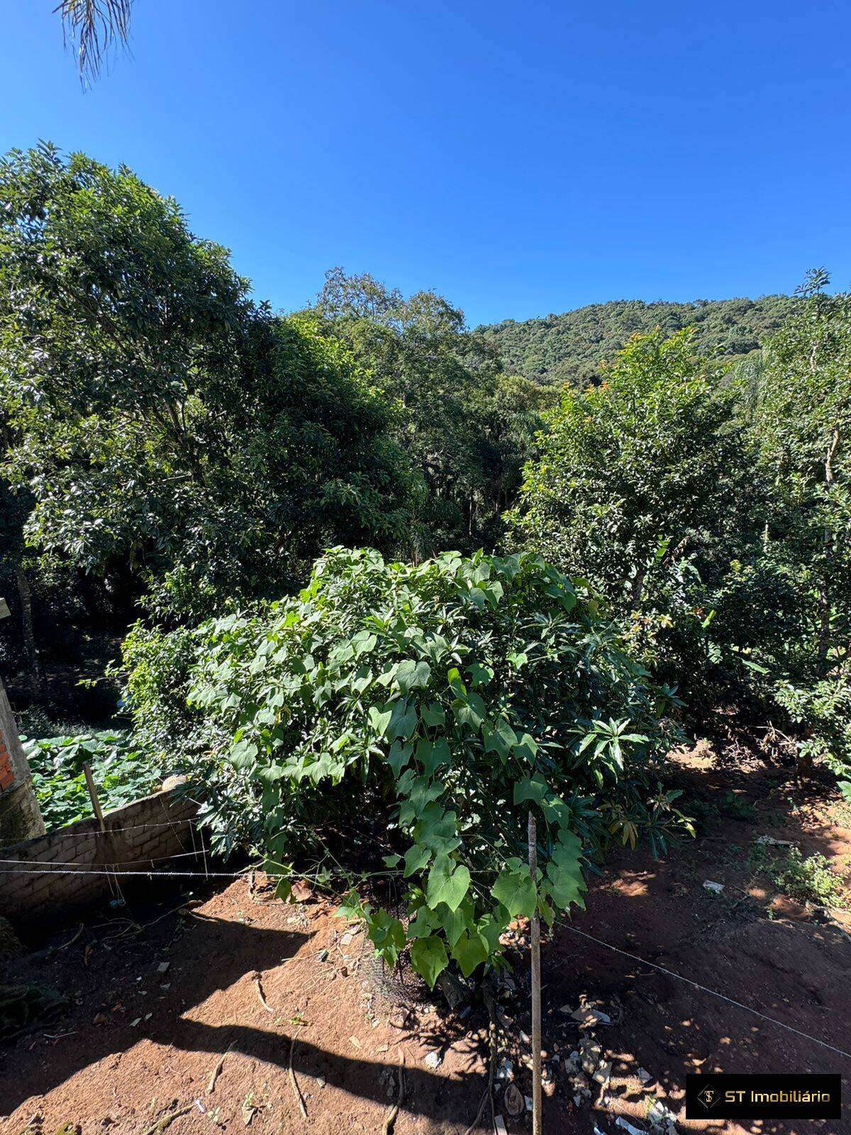 Fazenda à venda com 4 quartos, 200m² - Foto 23