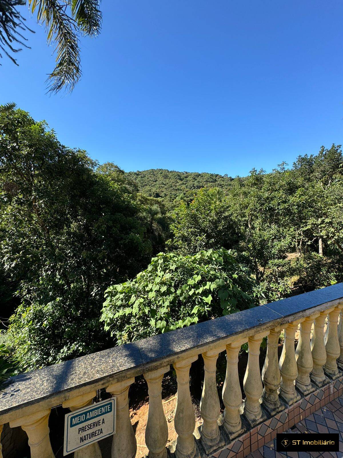 Fazenda à venda com 4 quartos, 200m² - Foto 4