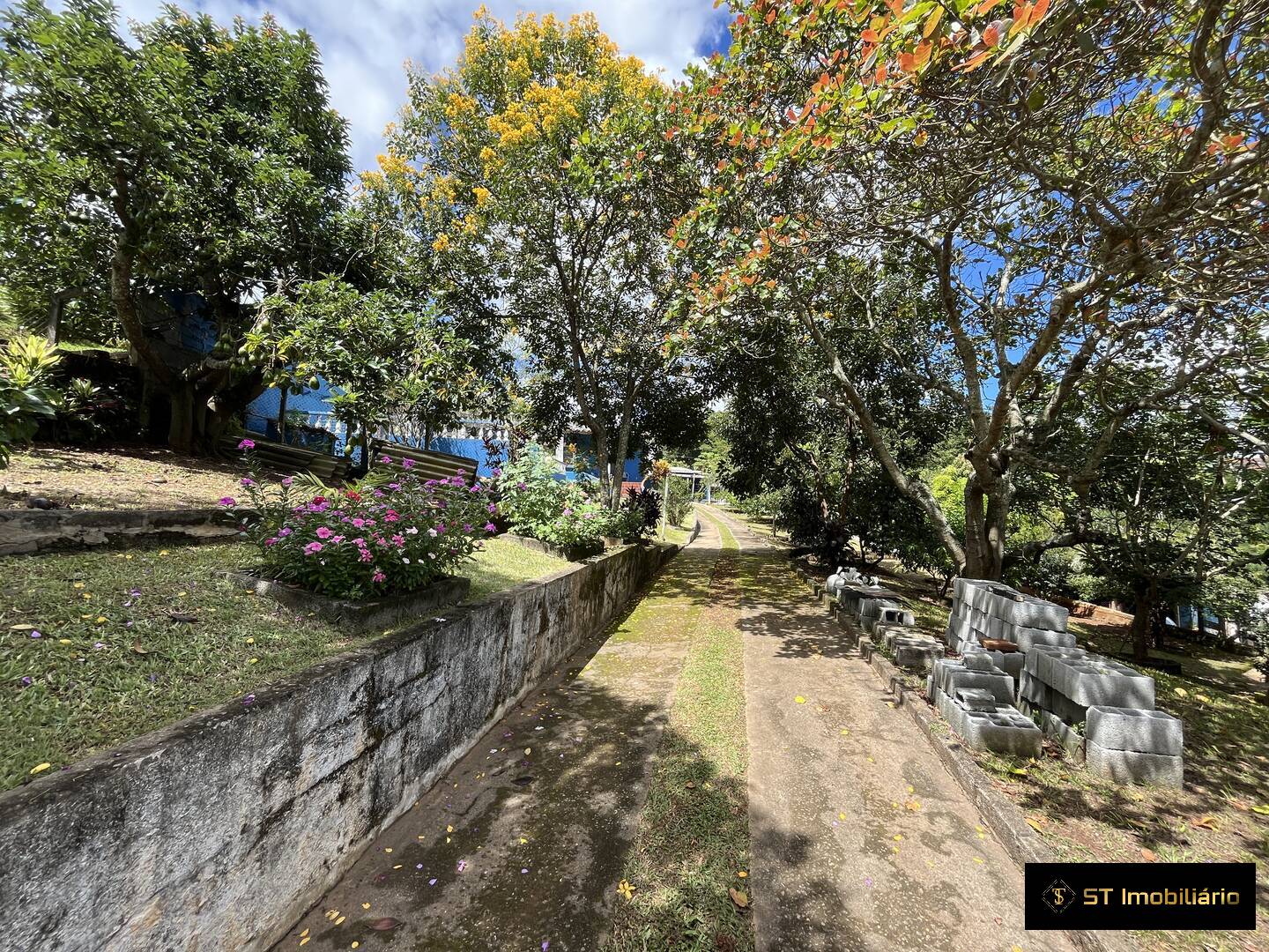 Fazenda à venda com 4 quartos, 195m² - Foto 10