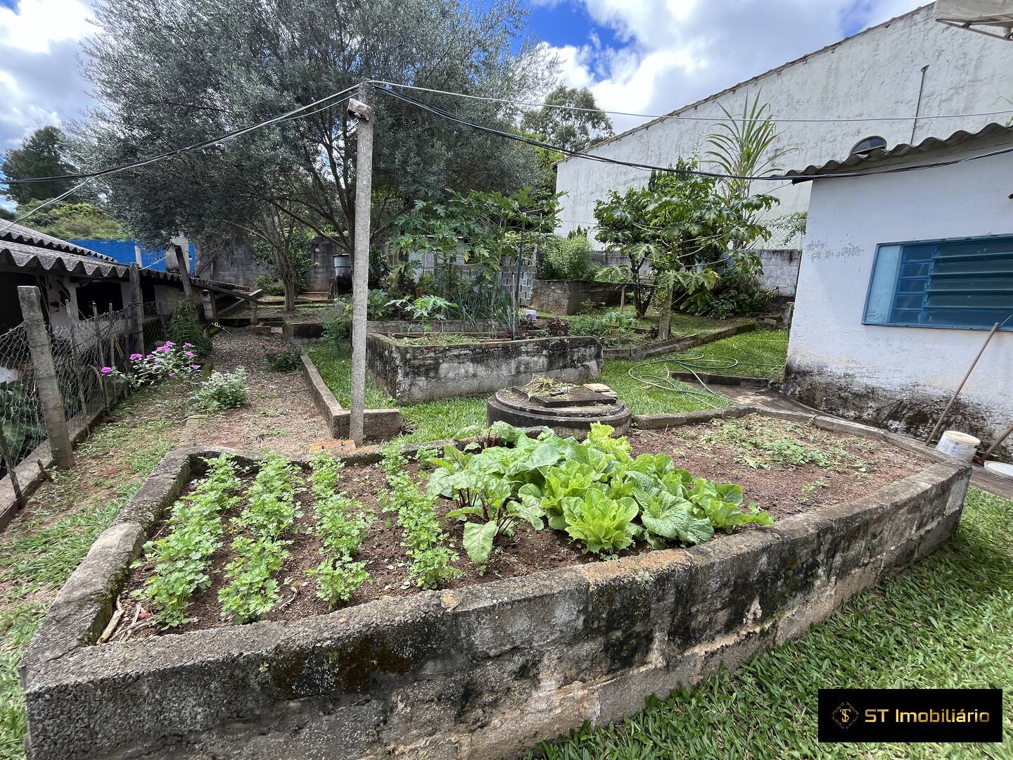 Fazenda à venda com 4 quartos, 195m² - Foto 12