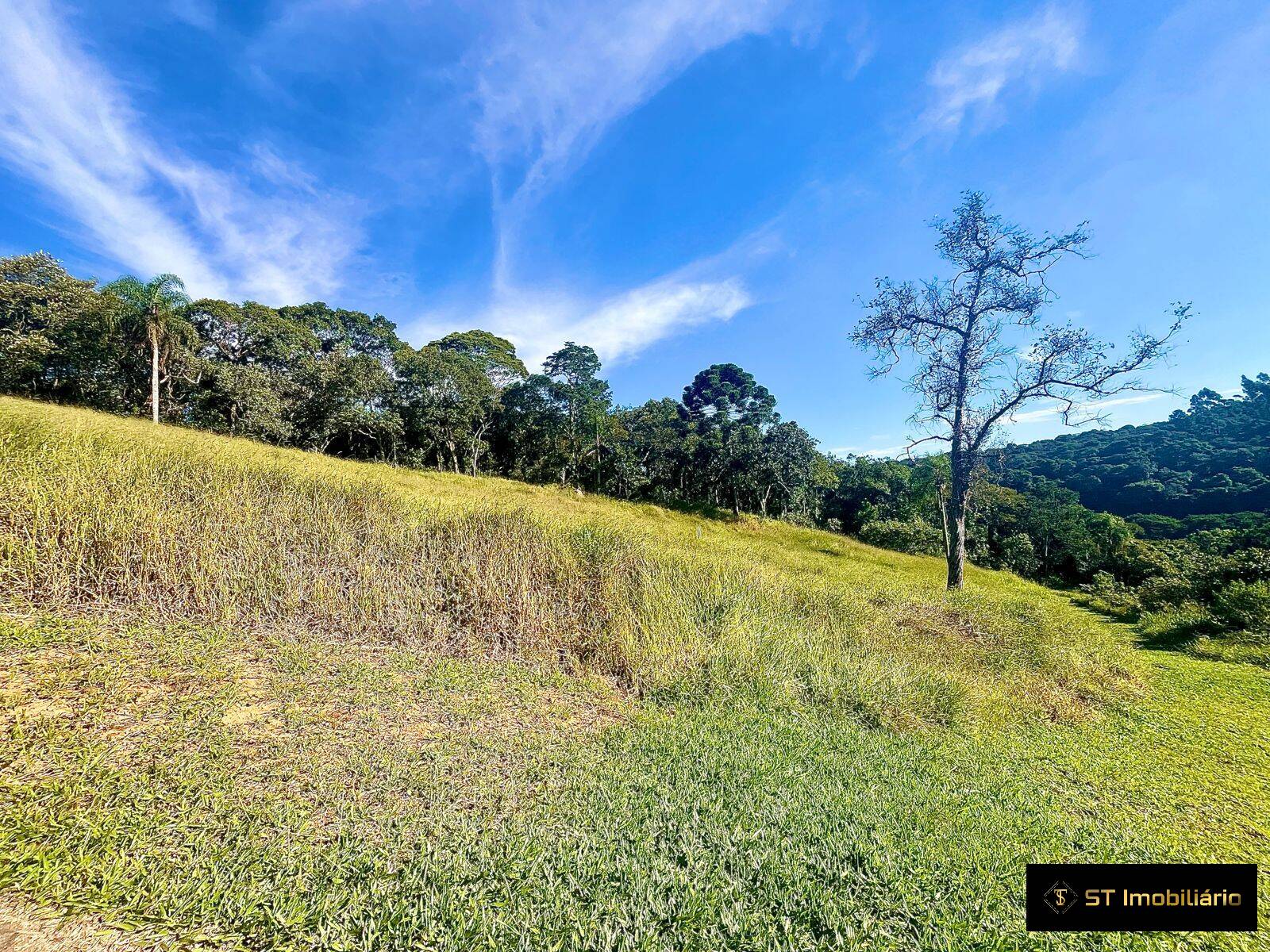 Terreno à venda, 48000m² - Foto 5