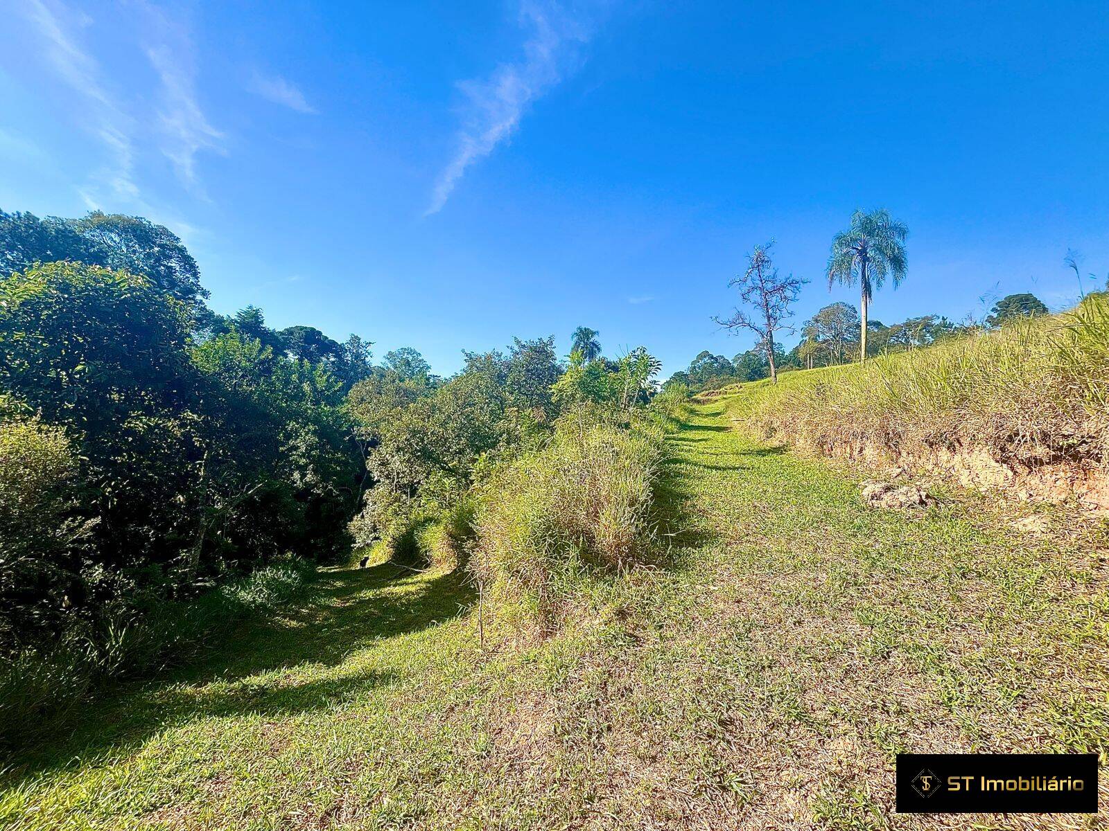 Terreno à venda, 48000m² - Foto 8