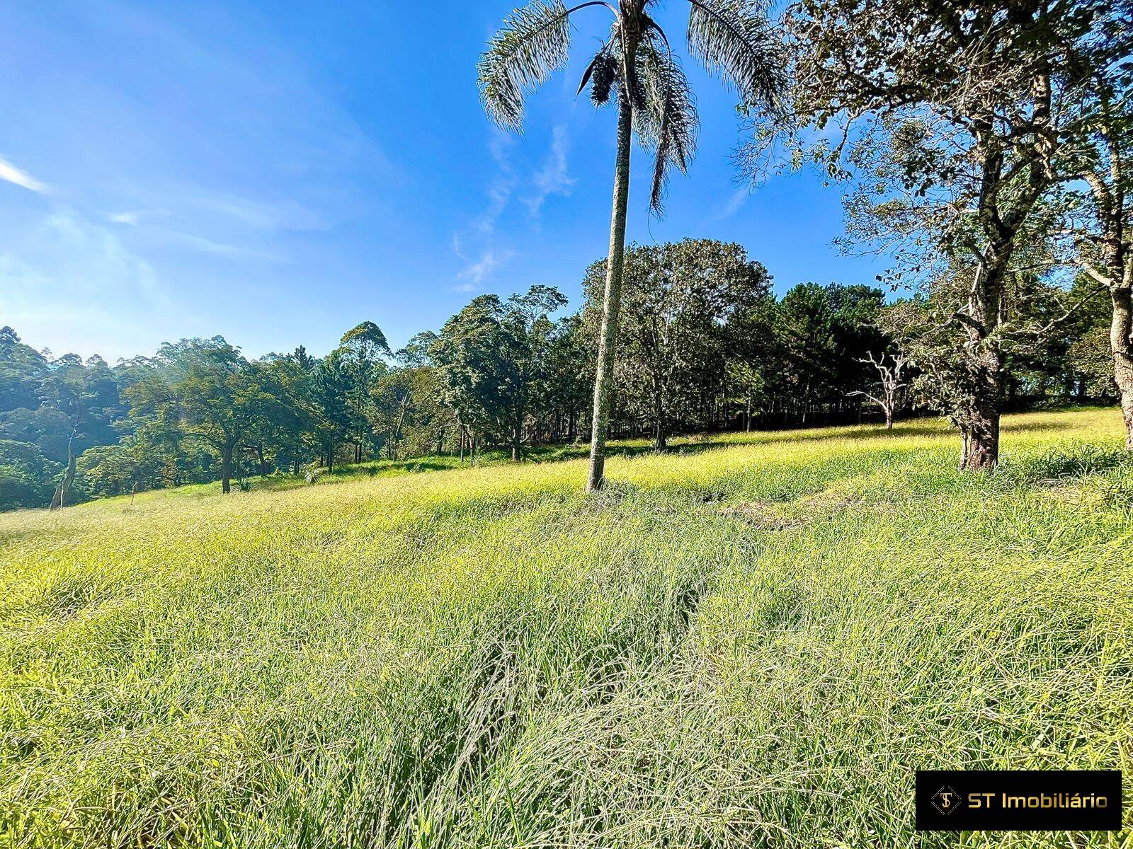 Terreno à venda, 48000m² - Foto 6