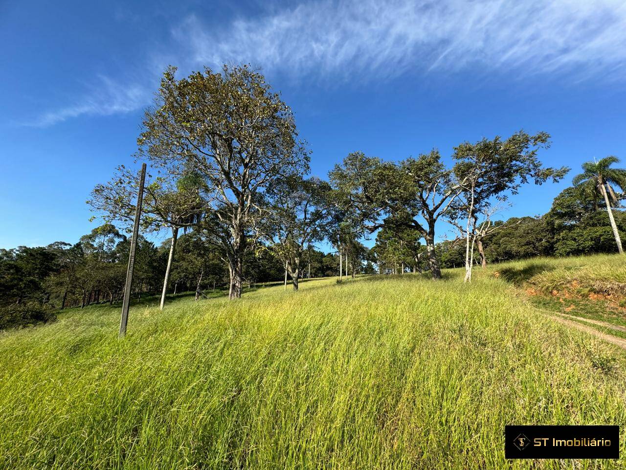 Terreno à venda, 48000m² - Foto 11