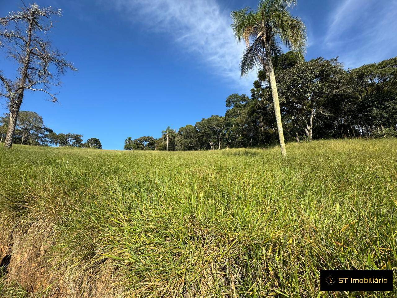 Terreno à venda, 48000m² - Foto 7