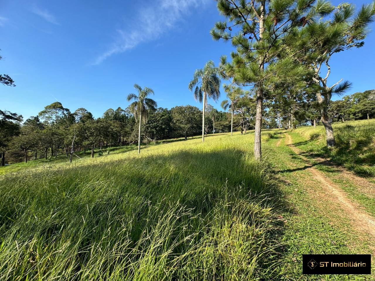 Terreno à venda, 48000m² - Foto 12