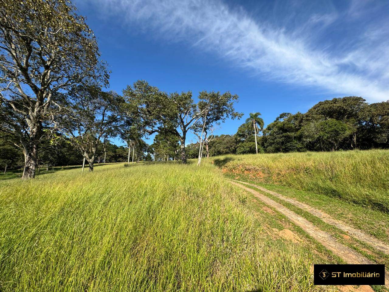 Terreno à venda, 48000m² - Foto 4