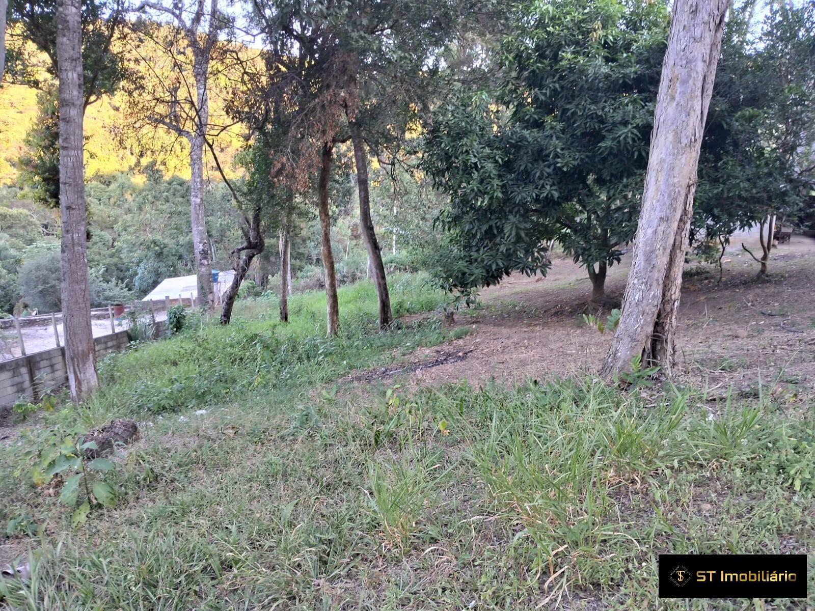 Terreno à venda, 3600m² - Foto 4