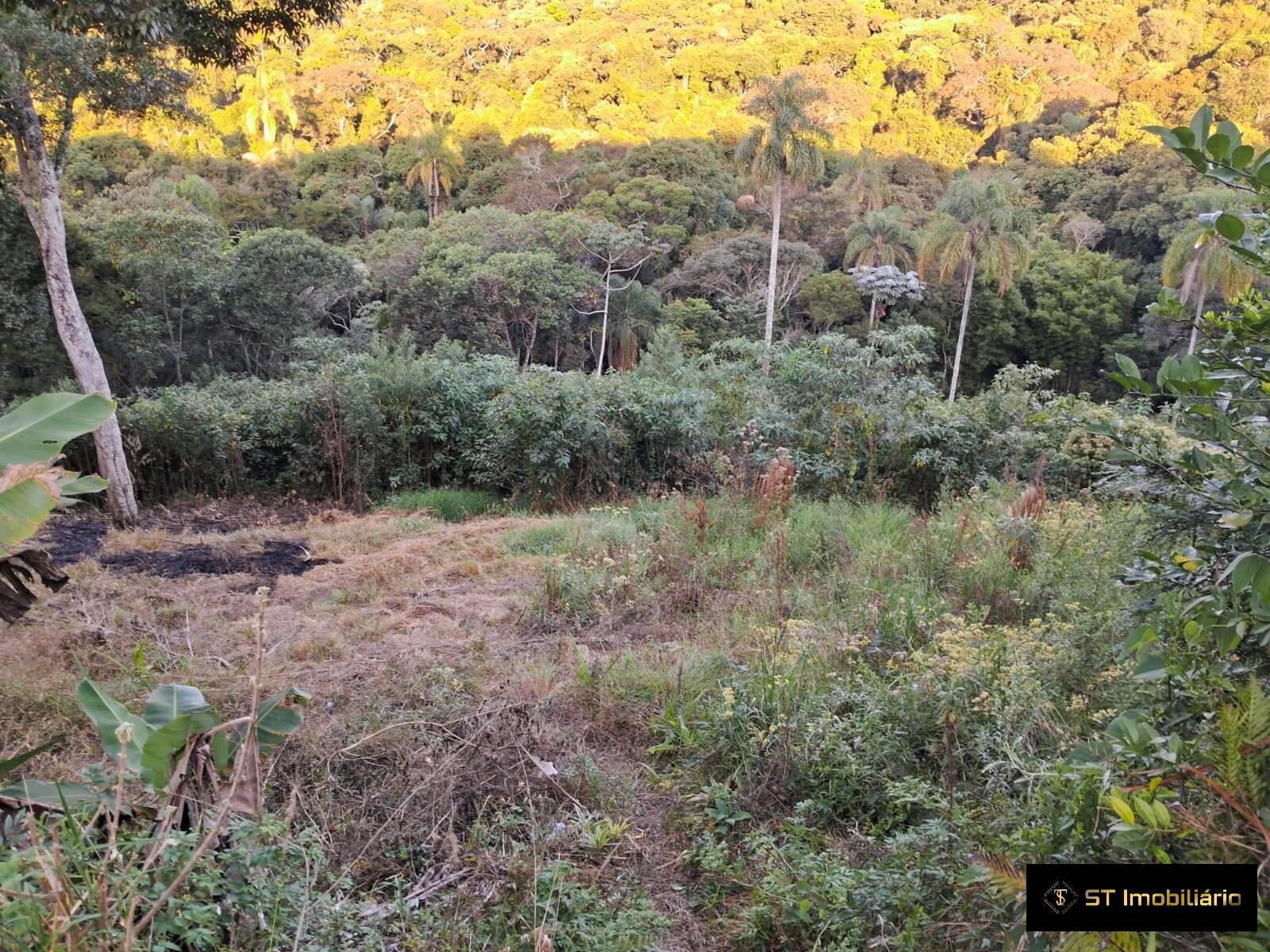 Terreno à venda, 3600m² - Foto 5