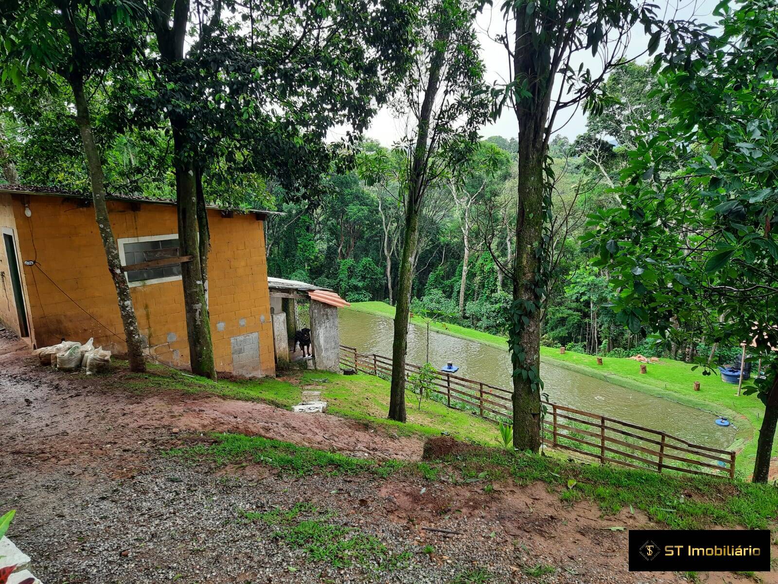 Fazenda à venda com 7 quartos, 400m² - Foto 18