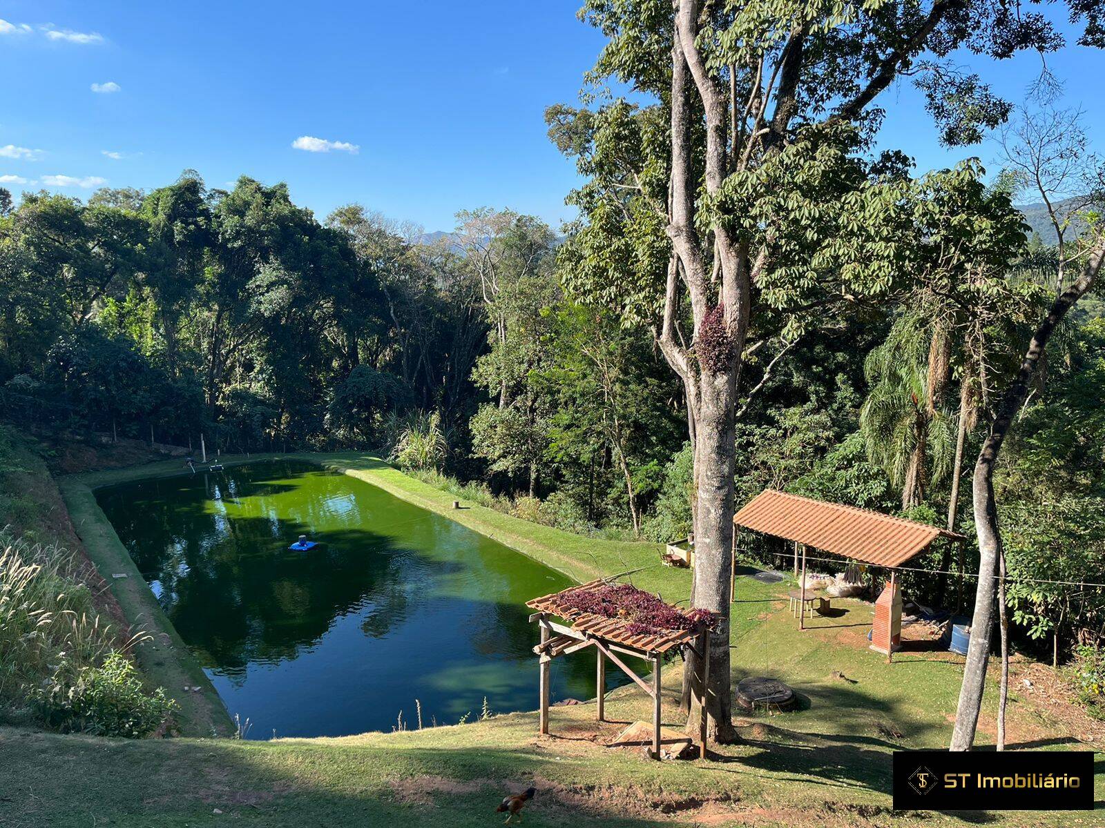 Fazenda à venda com 7 quartos, 400m² - Foto 3