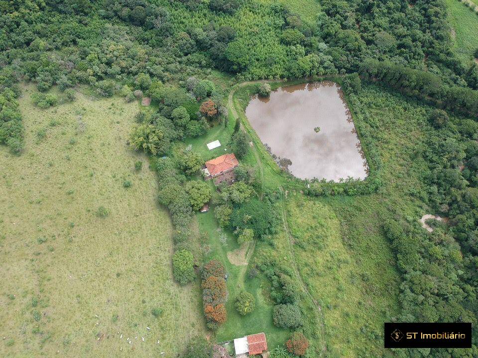 Fazenda à venda com 4 quartos, 330000m² - Foto 7