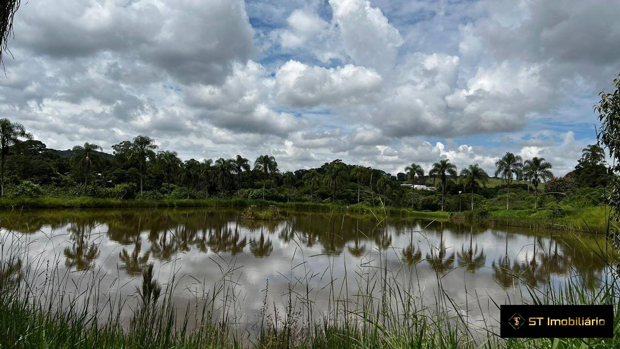 Fazenda à venda com 4 quartos, 330000m² - Foto 8